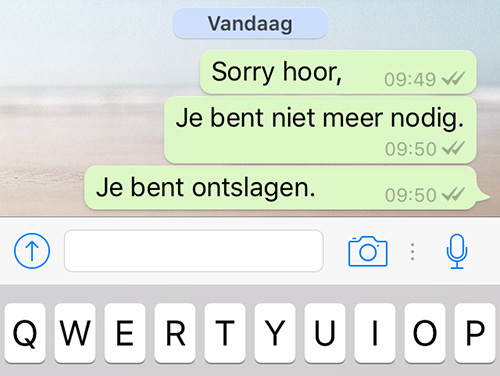 Ontslag nemen in proeftijd